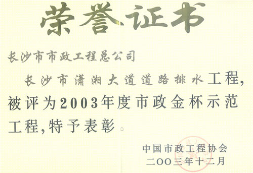 2003年度市政金杯示范工程